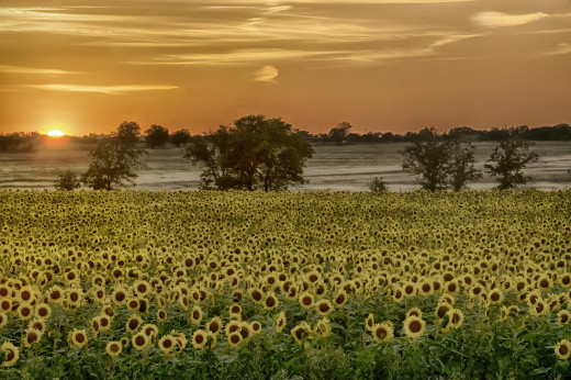 806340 (a): :2048x1360